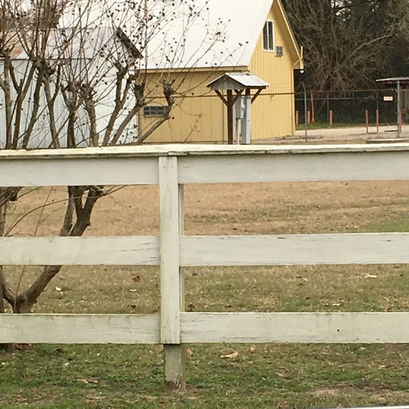 Meet your Posher, Cindy - Picture 1 of 1